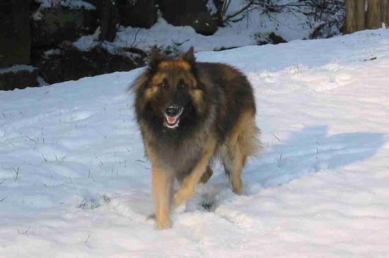 Hiver 2009