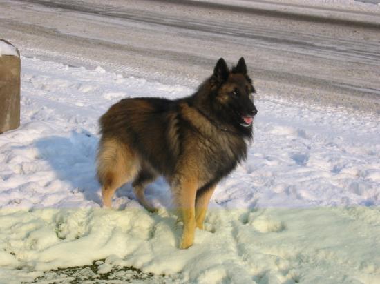 Hiver 2009