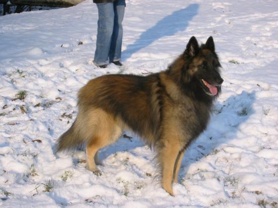 Hiver 2009